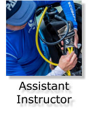Assistant Instructor